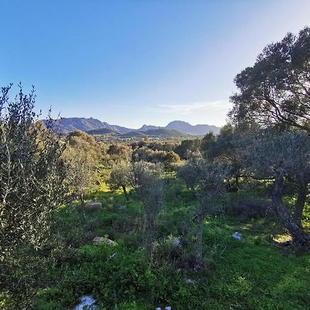 Вилла Casa Mariposa Porto Rotondo Rudalza Экстерьер фото