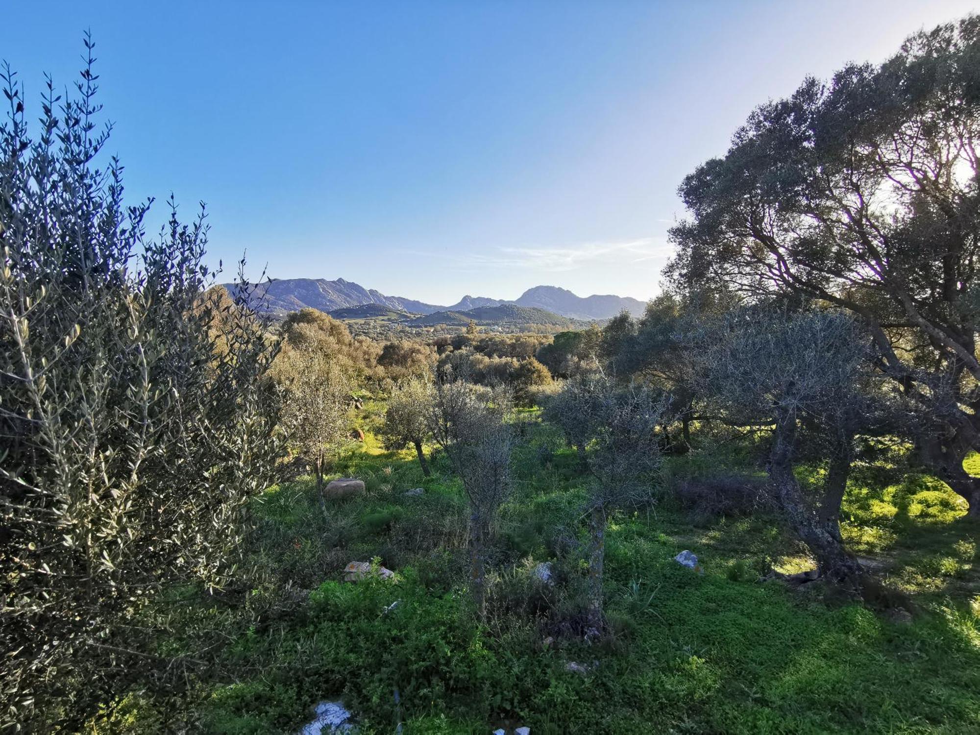 Вилла Casa Mariposa Porto Rotondo Rudalza Экстерьер фото