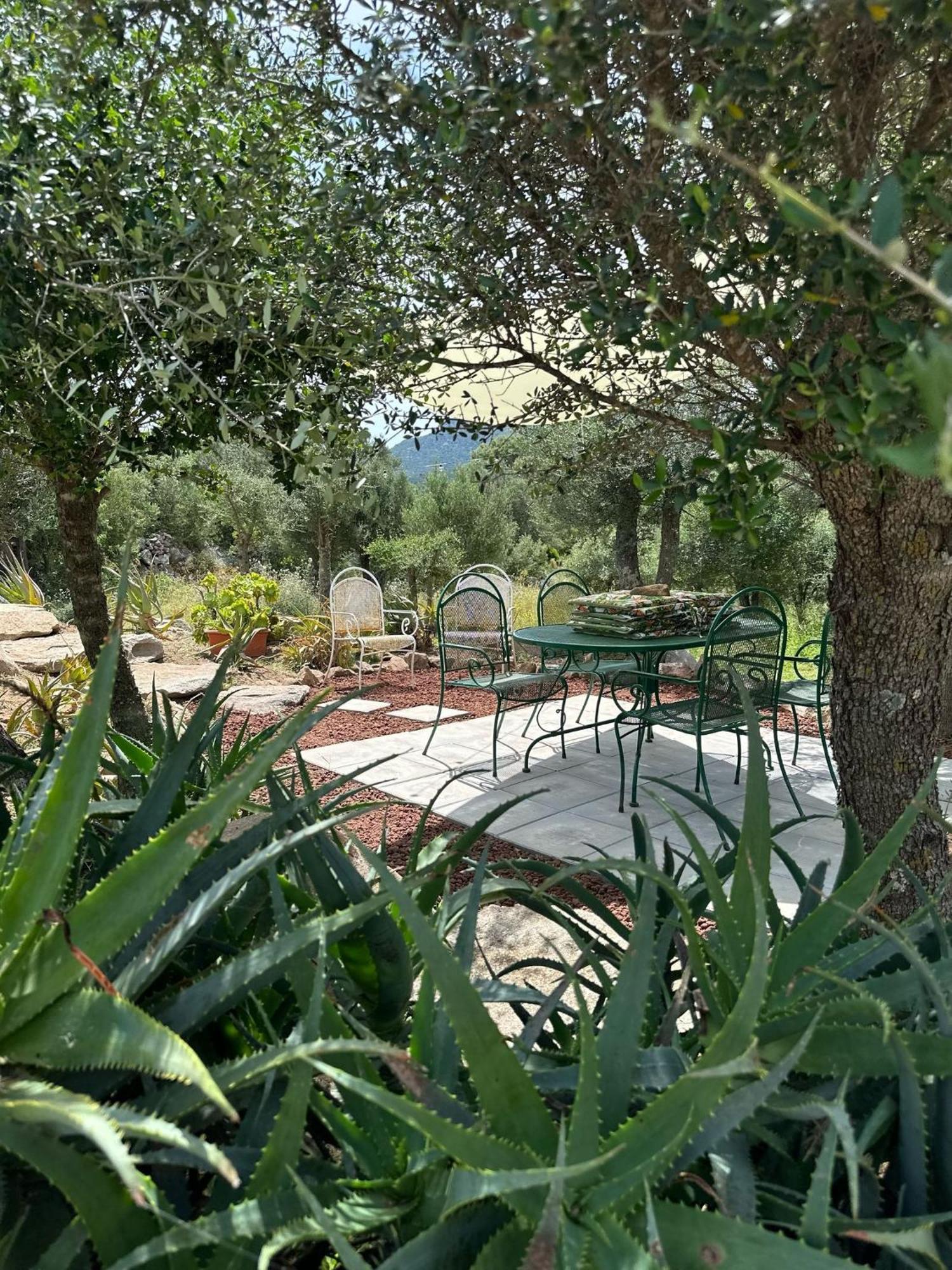 Вилла Casa Mariposa Porto Rotondo Rudalza Экстерьер фото